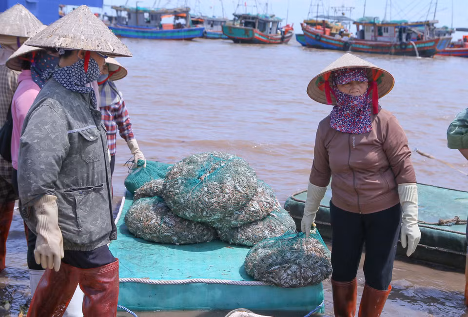 Les petits commerçants transportent les produits aquatiques à terre. Photo : VNA