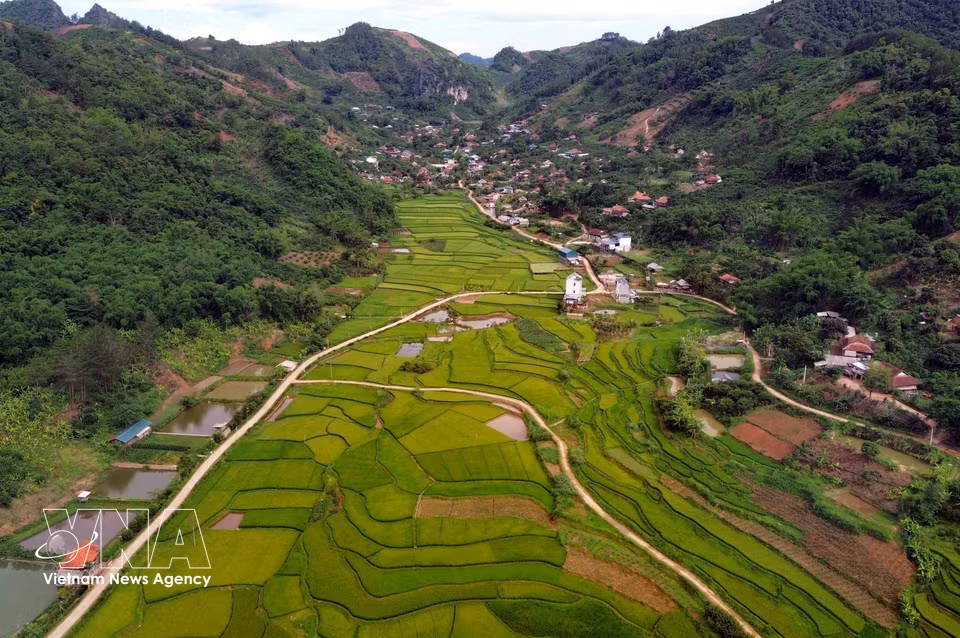 Vue des rizières en terrasses du hameau de Hun, dans le quartier de Chieng Coi, province de Son La. Photo : VNA