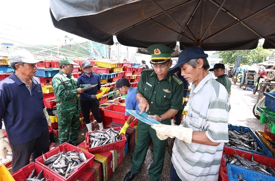 Au port de Quy Nhon, province de Gia Lai, les gardes-frontières mènent une campagne de sensibilisation auprès des pêcheurs sur la lutte contre la pêche illicite, non déclarée et non réglementée (IUU). Photo : VNA