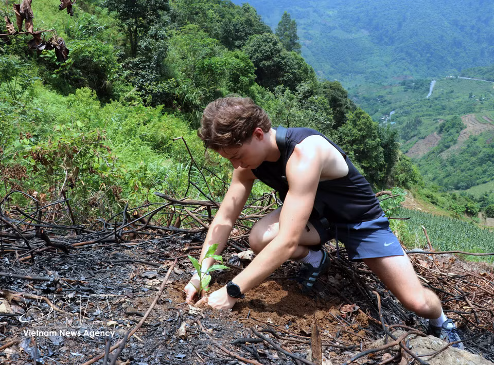 Un touriste étranger prend part avec joie au programme de reboisement. Photo: VNA