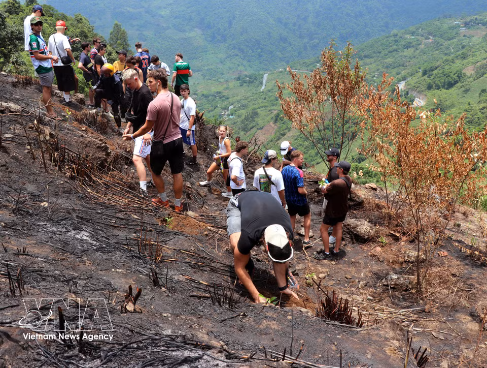Des voyageurs internationaux participent avec enthousiasme à la plantation d’arbres sur le plateau de Dong Van lors de leur découverte de cette région, contribuant ainsi à la préservation de son environnement naturel. Photo: VNA