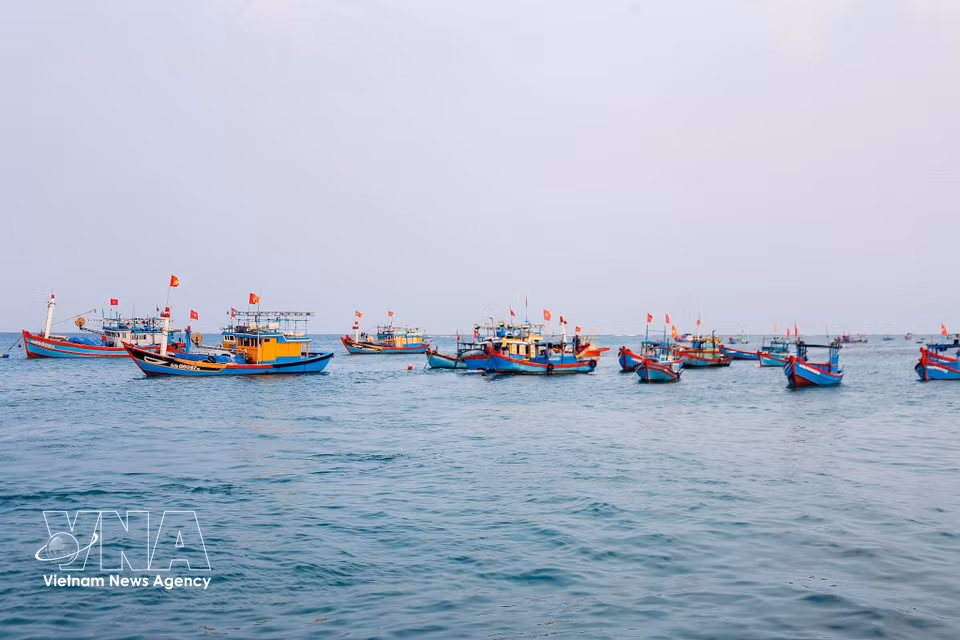 Les navires accostent au port avant l'aube pour vendre leurs produits et se ravitailler en carburant et vivres pour la prochaine sortie en mer. Photo : VNA