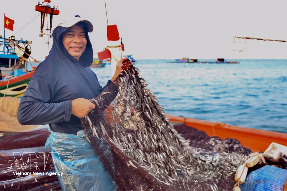 Le sourire radieux d'un pêcheur de Ly Son, après une récolte miraculeuse. Photo : VNA