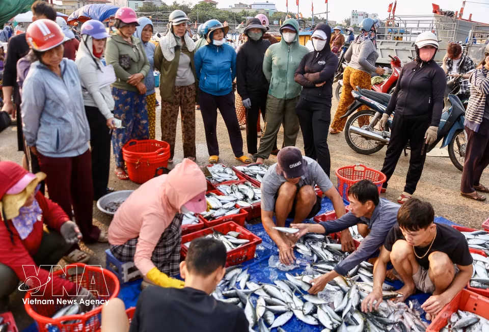 Des paniers remplis de poissons, fruit d'une nuit de travail acharné pour les marins. Photo : VNA