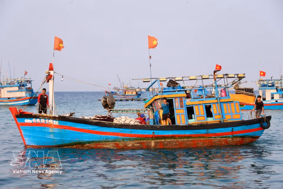 De nombreux bateaux de pêche animent la mer. Photo : VNA