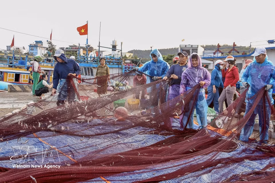 Tri des prises et nettoyage des filets à même le quai pour acheminer au plus vite les produits vers le marché. Photo : VNA