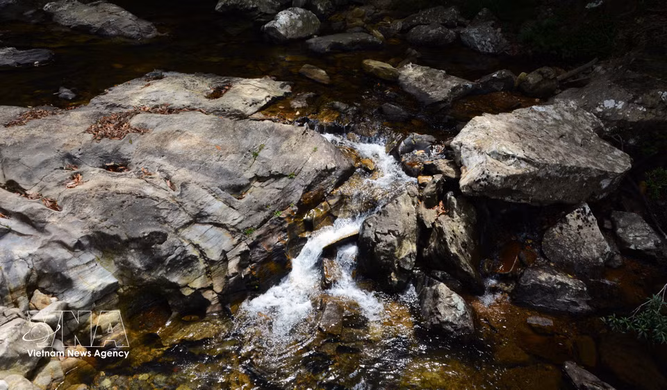 Bach Ma séduit les visiteurs par ses cours d'eau cristallins et son atmosphère mystique au cœur des massifs forestiers. Photo : VNA