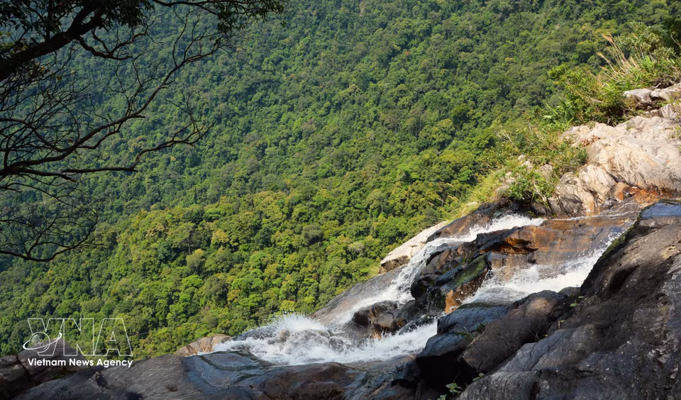 S’élançant d’une hauteur de près de 300 mètres, la chute d'eau de Do Quyen crée un voile d'écume blanche qui contraste avec le vert profond de la forêt primaire. Photo : VNA