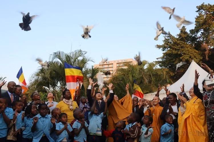 Lâcher de colombes pour prier pour la paix lors de la cérémonie de l’anniversaire de Bouddha en 2019 au Mozambique, organisée par la Sangha bouddhiste du Vietnam et l’ambassade du Vietnam au Mozambique, le 29 mai 2019 à Maputo. Photo : VNA