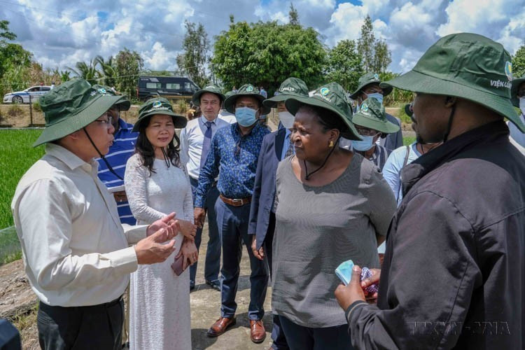 Lors de sa visite de travail à Can Tho, la présidente de l’Assemblée de la République du Mozambique, Esperanca Laurinda Francisco Nhiuane Bias, visite une rizière de l’Institut du riz du delta du Mékong, dans le district de Thoi Lai, le 23 juin 2022. Photo : VNA