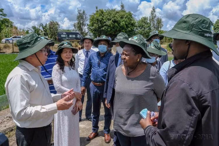 Lors de sa visite de travail à Can Tho, la présidente de l’Assemblée de la République du Mozambique, Esperanca Laurinda Francisco Nhiuane Bias, visite une rizière de l’Institut du riz du delta du Mékong, dans le district de Thoi Lai, le 23 juin 2022. Photo : VNA