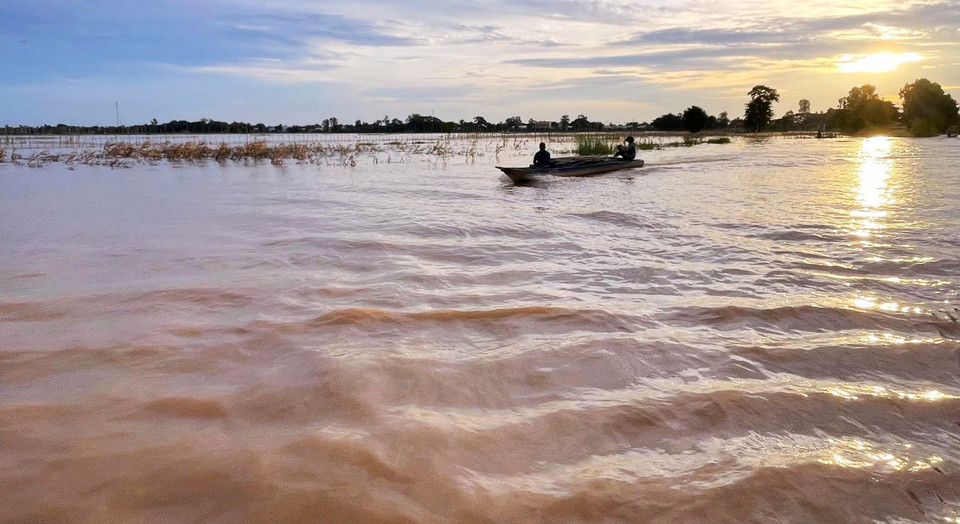 Chaque année, au 7ᵉ mois du calendrier lunaire, lorsque les eaux limoneuses du Mékong inondent les rizières du delta, les habitants des régions frontalières du Sud-Ouest se préparent à la récolte du jeune poisson linh. Photo : VNA