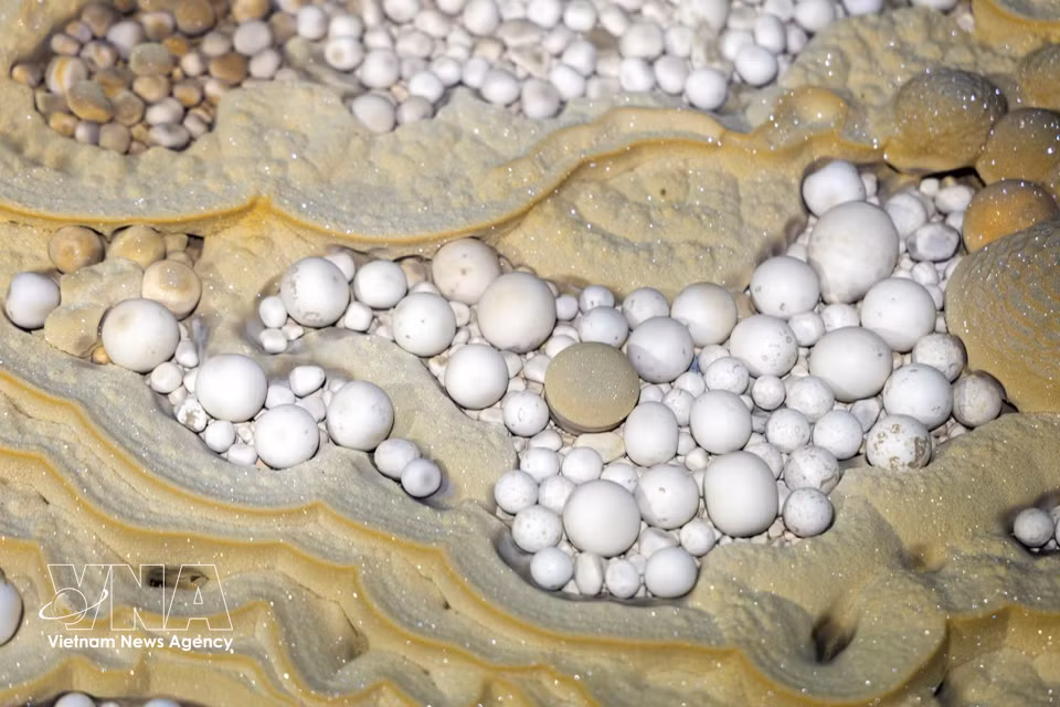 L'élément le plus spectaculaire de cette exploration demeure la découverte d'abondantes grappes de perles de caverne, d'un blanc immaculé et à la surface parfaitement lisse, logées dans des cavités naturelles creusées au sein de la roche. Photo : VNA