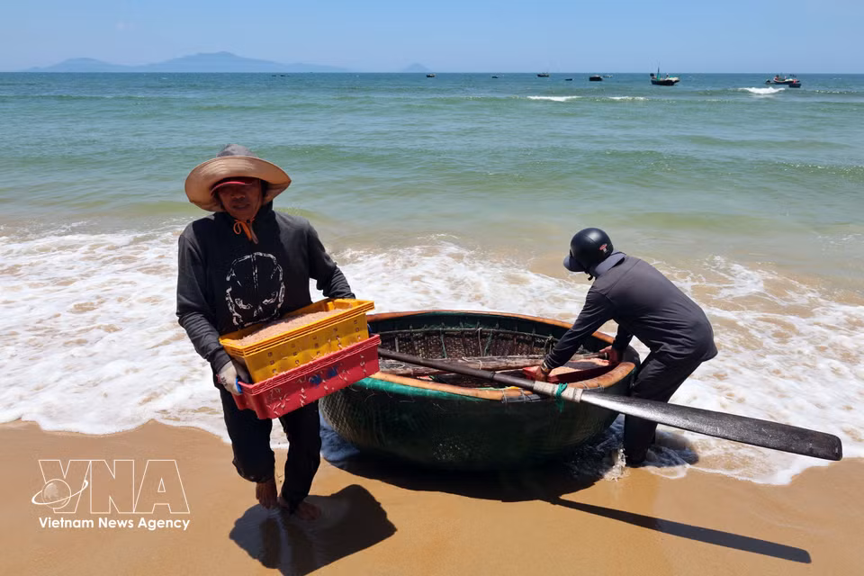 Le rythme de vie quotidien des pêcheurs sur les côtes de la commune de Duy Nghia. Photo : VNA