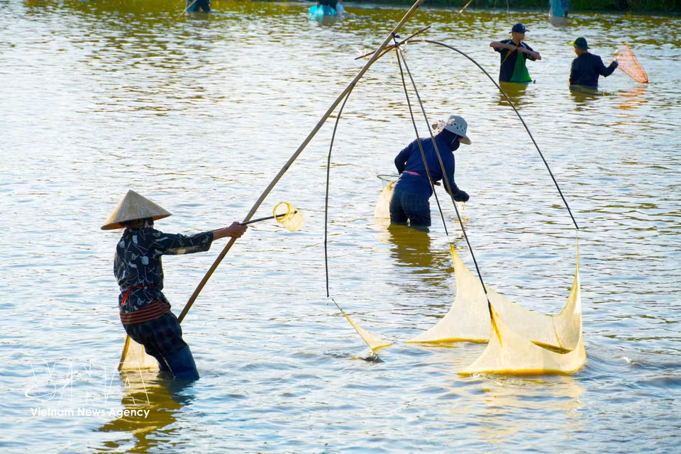 Des milliers de personnes, habitants et touristes confondus, participent à l'édition 2026 du festival de pêche de Vuc Rao. Photo : VNA
