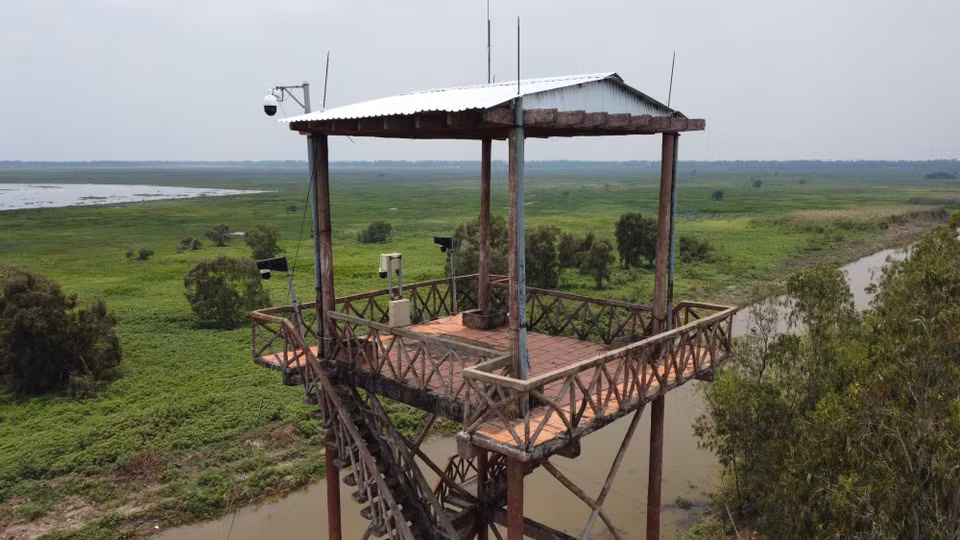 Au sein du parc national de Tram Chim, des caméras sont installées directement sur les tours d'observation. Photo : VNA