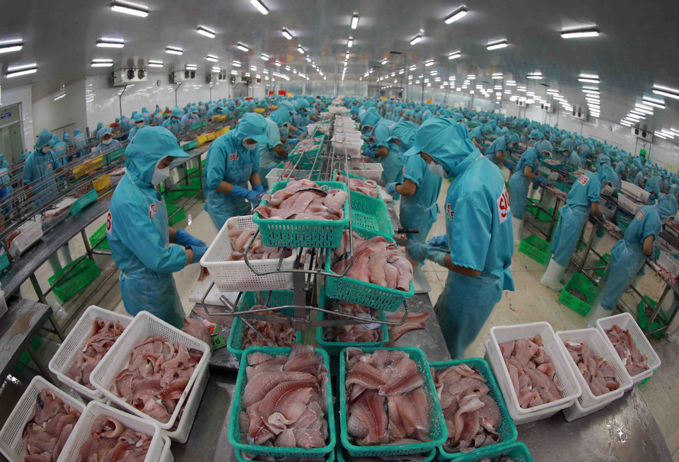 Le Vietnam exporte vers le Maroc divers produits, notamment des produits aquatiques surgelés, du café et des textiles. Photo : VNA