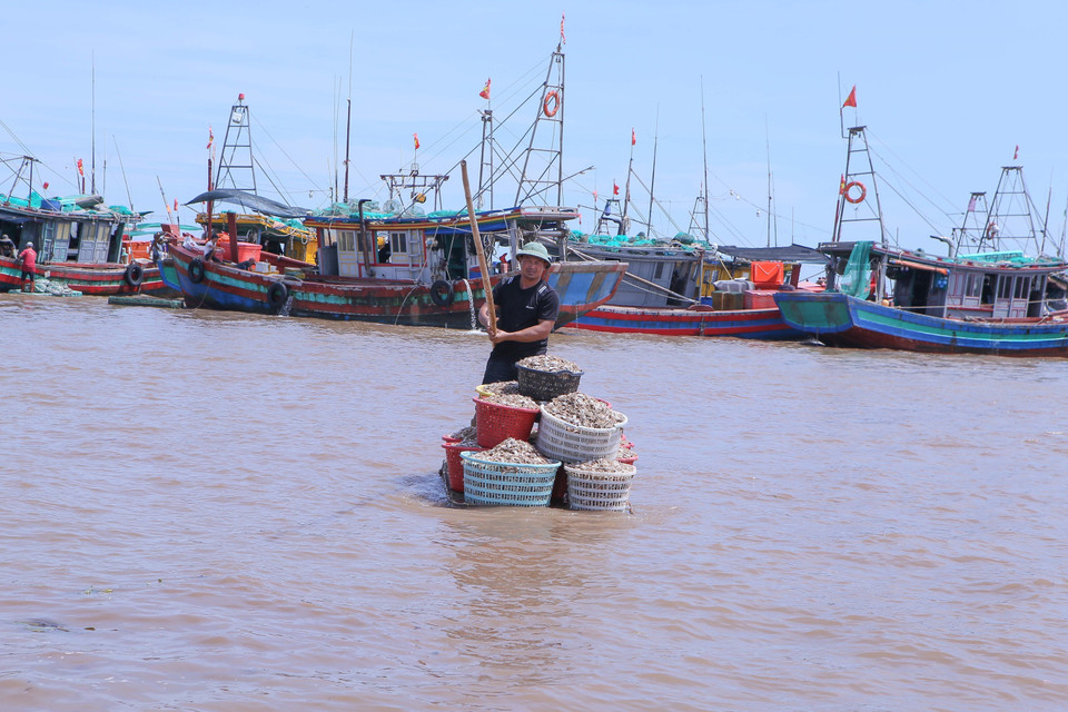 Les pêcheurs utilisent des radeaux pour acheminer leurs prises des bateaux de pêche au rivage, où elles seront vendues. Photo : VNA