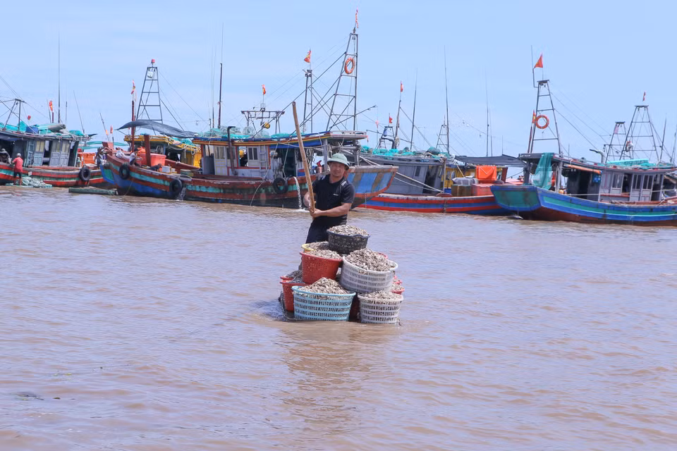 Les pêcheurs utilisent des radeaux pour acheminer leurs prises des bateaux de pêche au rivage, où elles seront vendues. Photo : VNA
