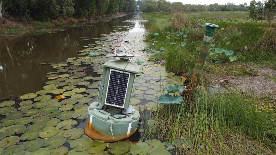 Un capteur hydrologique alimenté par l'énergie solaire permet un suivi précis et constant du niveau de l'eau dans les zones forestières. Photo : VNA