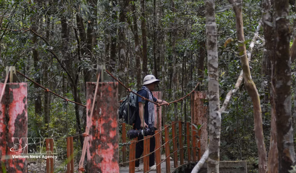 Des visiteurs traversent la forêt de Bach Ma pour découvrir la beauté sauvage des paysages naturels. Photo : VNA