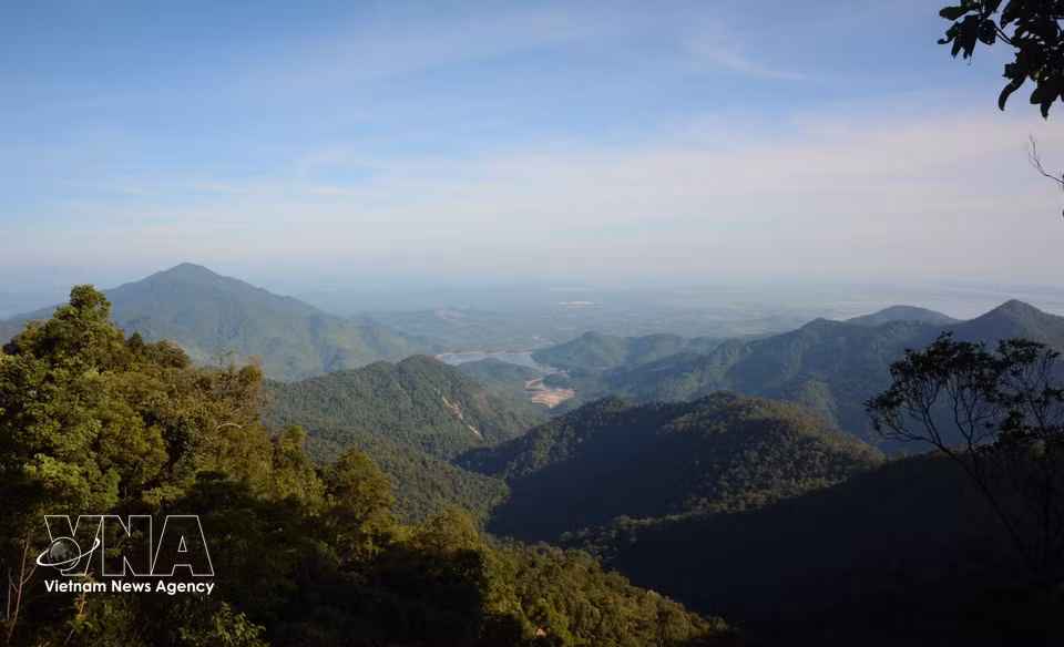 Le parc national de Bach Ma se distingue par l’immensité et la diversité biologique de son écosystème forestier. Photo : VNA