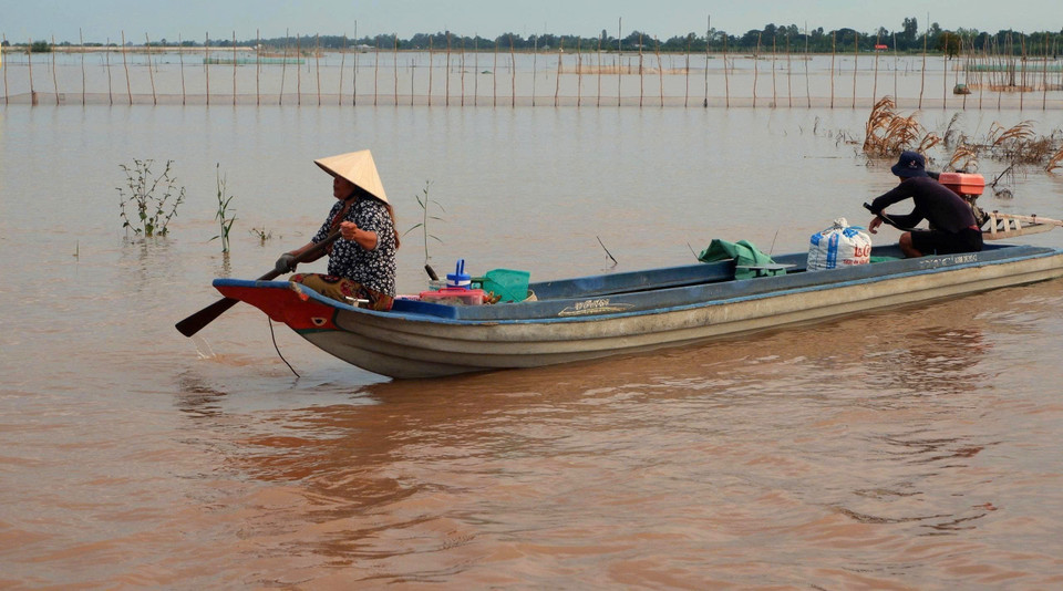 Lorsque la saison des crues arrive, les terres agricoles situées en dehors des digues sont inondées, interrompant temporairement le travail agricole. Les revenus de la pêche au poisson linh aident les habitants à subvenir à leurs besoins et à envoyer leurs enfants à l'école. Photo : VNA