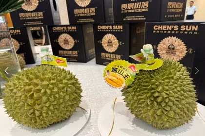 Le durian, un nouvel espoir pour les exportations malaisiennes