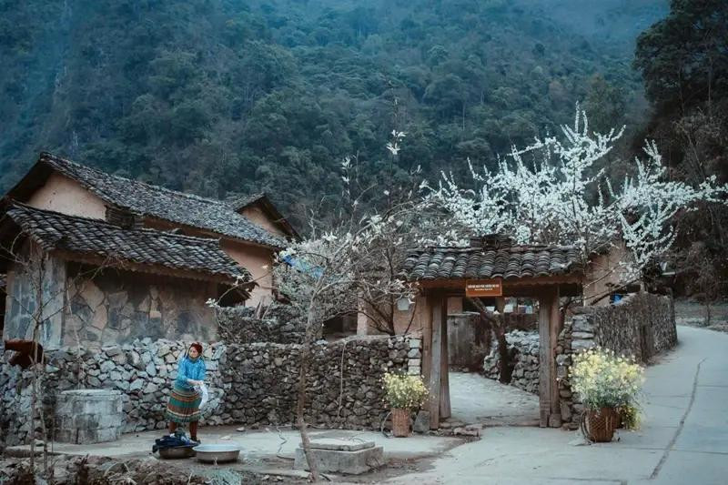 Au Vietnam, de nombreux lieux, après avoir été le lieu de tournage d’œuvres cinématographiques à succès, ont attiré un grand nombre de touristes. Par exemple la « Maison de Pao », dans la commune de Sung La, district de Dong Van, province de Ha Giang, après le succès du film « L'histoire de Pao ».