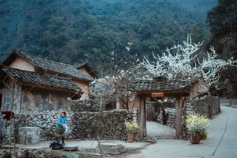 Au Vietnam, de nombreux lieux, après avoir été le lieu de tournage d’œuvres cinématographiques à succès, ont attiré un grand nombre de touristes. Par exemple la « Maison de Pao », dans la commune de Sung La, district de Dong Van, province de Ha Giang, après le succès du film « L'histoire de Pao ».