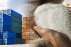 L'Indonésie va augmenter ses réserves de riz à 2 millions de tonnes d'ici la fin de l'année