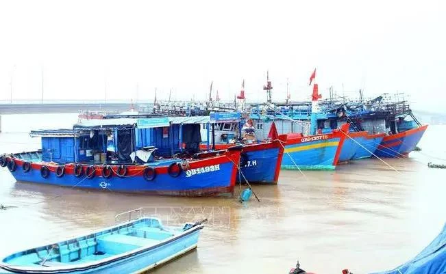 La province de Quang Binh contrôle 100% des navires de pêche arrivant aux ports locaux pour charger et décharger des produits de pêche, conformément aux réglementation. Photo d'archives