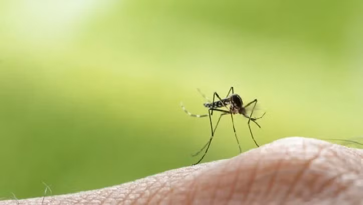 Photo: gmanetwork.com