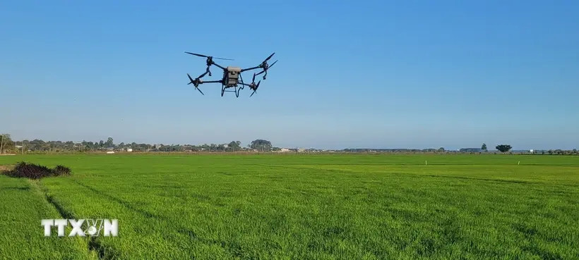 Le Vietnam encourage la transformation numérique dans l’agriculture