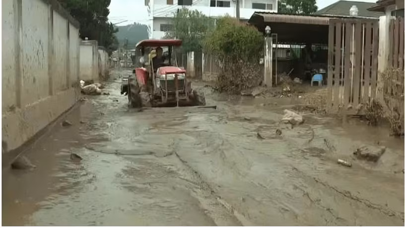 La Thaïlande teste des méthodes pour lutter contre la boue après les inondations (Photo : world.thaipbs.or.th)