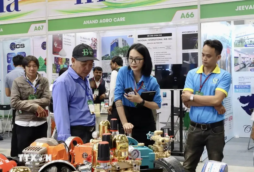 Des visiteurs lors de l'exposition. Photo : VNA