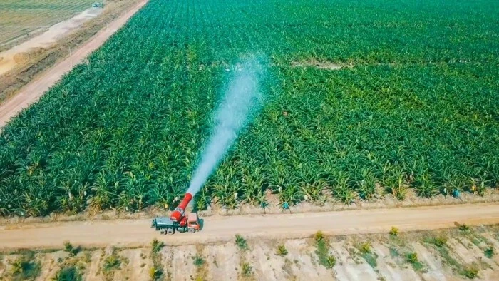 Une ferme bananière investie par le groupe HAGL du Vietnam au Laos. (Photo : HAGL)