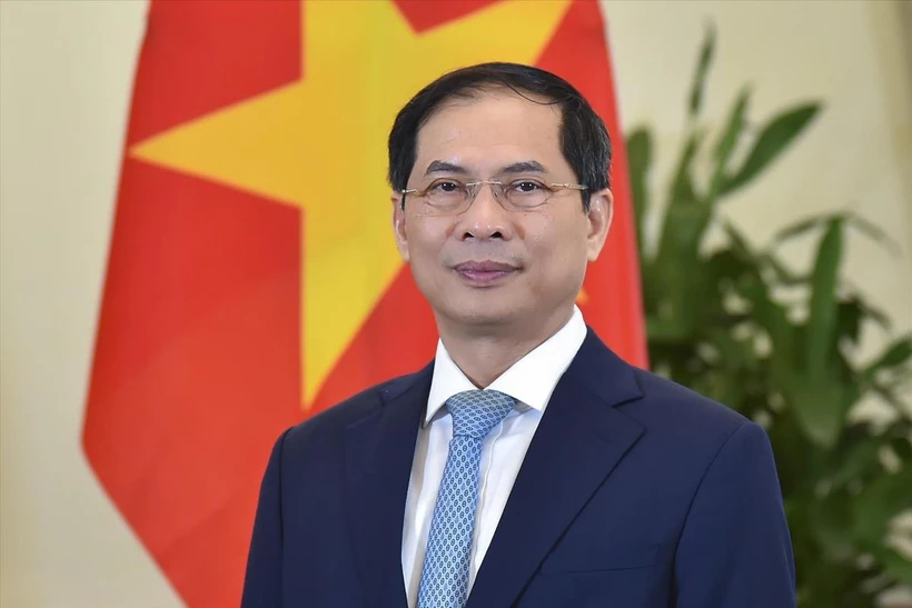 Le ministre des Affaires étrangères Bui Thanh Son. Photo : VNA