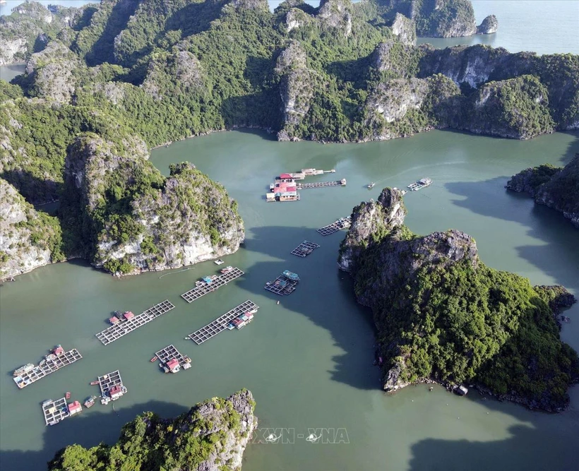 Le village de pêcheurs de Vung Vieng captive les touristes étrangers