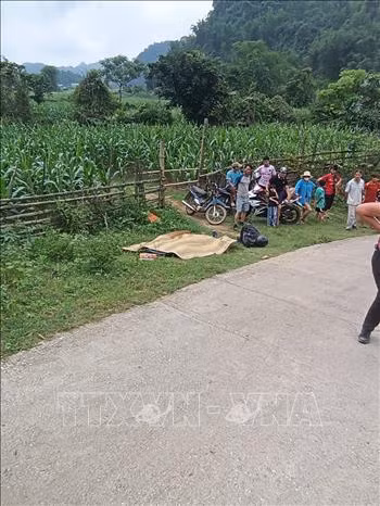 Un Allemand tué et sa femme blessée après la chute d'une moto dans le Nord du Vietnam. Photo / VNA