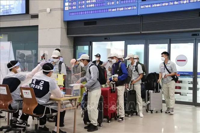 Une préfecture japonaise lancera une nouvelle assurance maladie pour les membres des familles des travailleurs vietnamiens. Photo : VNA