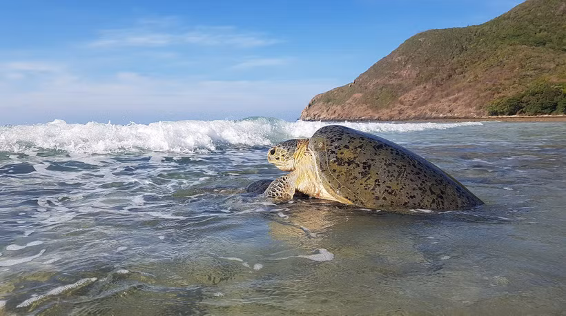 Photo d'illustration: baobariavungtau.com.vn