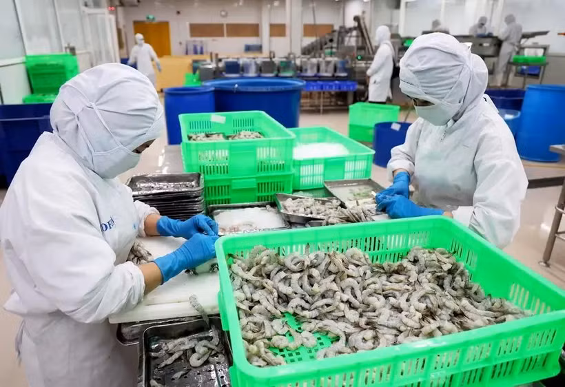 Transformation préliminaire de crevettes pour l'exportation. Photo: VNA