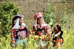 Jeunes filles Lô Lô dans un jardin de colza. Photo: VNP