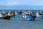 Photo d'illustration: thuysanvietnam.com.vn
