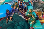 Les soldats vietnamiens sur l’archipel de Truong Sa diffusent la loi auprès des pêcheurs. Photo : VNA