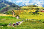 Dans le nord-ouest du Vietnam, Lào Cai dévoile ses rizières en gradins, sculptées avec art par les ethnies H’mông et Dao rouges. Photo: ST