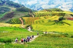 Dans le nord-ouest du Vietnam, Lào Cai dévoile ses rizières en gradins, sculptées avec art par les ethnies H’mông et Dao rouges. Photo: ST