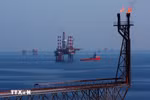 Les plateformes de forage du champ pétrolier Bach Hô. Photo: VNA