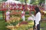 Le Festival des orchidées de Hô Chi Minh-Ville 2025 se déroule au parc Tao Đàn du 1er arrondissement. Photo: VNA